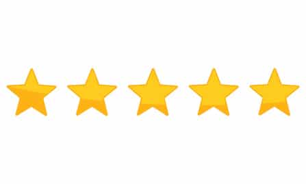 5 stars rating reviews for WPSOLR search plugin