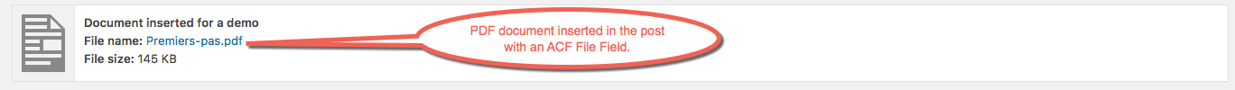 PDF document inserted in the post with an ACF File Field.