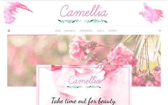 Image word-image-11.jpeg of Tutorial on choosing a WordPress Theme