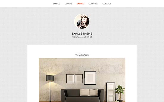 Image word-image-14.jpeg of Tutorial on choosing a WordPress Theme