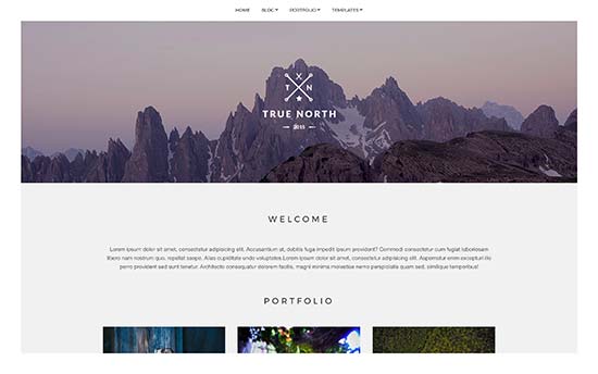 Image word-image-15.jpeg of Tutorial on choosing a WordPress Theme
