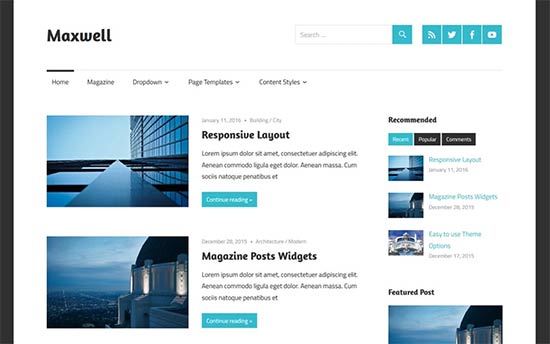 Image word-image-18.jpeg of Tutorial on choosing a WordPress Theme
