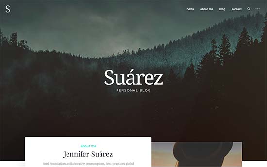 Image word-image-20.jpeg of Tutorial on choosing a WordPress Theme