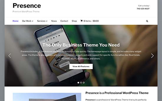 Image word-image-22.jpeg of Tutorial on choosing a WordPress Theme