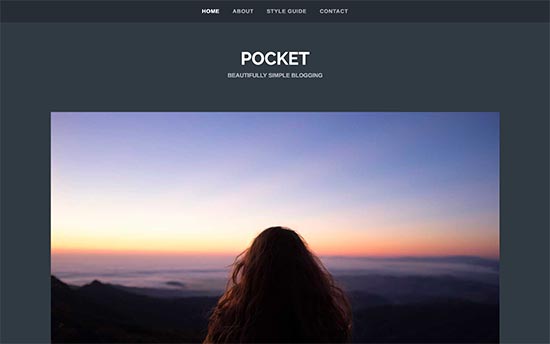 Image word-image-24.jpeg of Tutorial on choosing a WordPress Theme