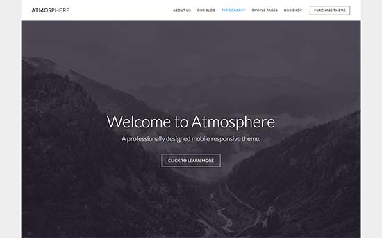 Image word-image-25.jpeg of Tutorial on choosing a WordPress Theme