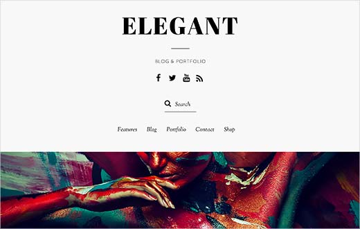 Image word-image-27.jpeg of Tutorial on choosing a WordPress Theme
