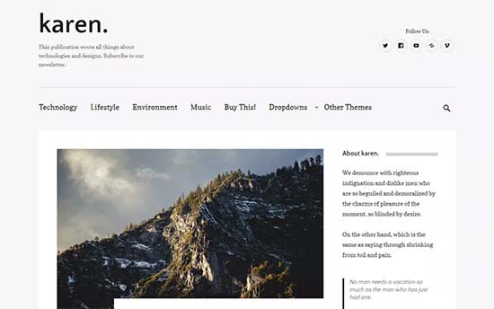 Image word-image-30.jpeg of Tutorial on choosing a WordPress Theme