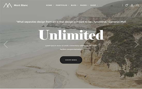 Image word-image-32.jpeg of Tutorial on choosing a WordPress Theme