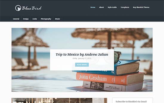 Image word-image-33.jpeg of Tutorial on choosing a WordPress Theme