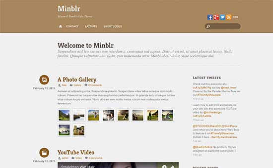 Image word-image-36.jpeg of Tutorial on choosing a WordPress Theme