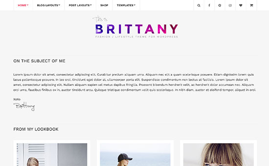 Image word-image-37.jpeg of Tutorial on choosing a WordPress Theme