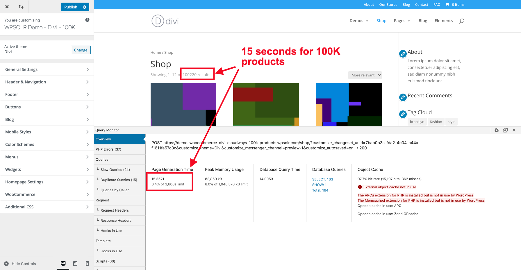 Image wpsolr-demo-divi-100k-15-seconds.png of Why DIVI load time is 15 seconds on a shop with 100K products