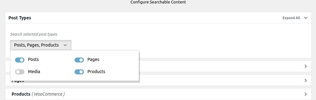 Ivory search settings : index any post-type