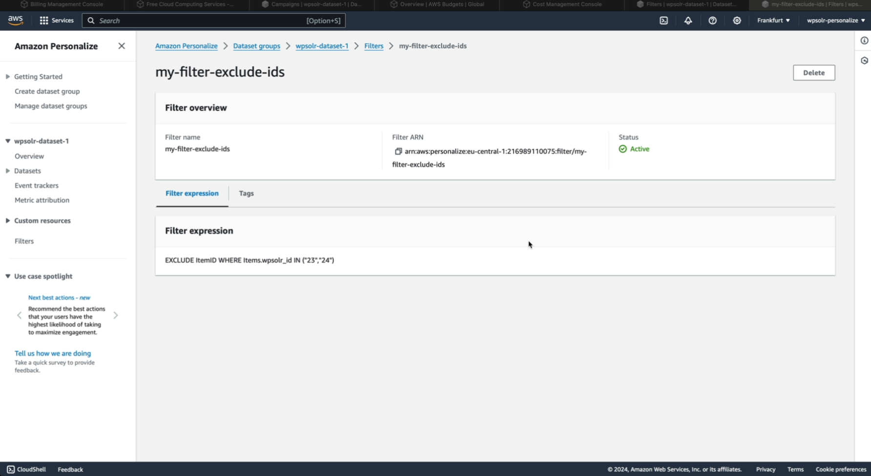 Image wpsolr-amazon-personalize-creat-filter-4.png of Amazon Personalize