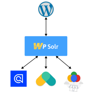 Image WPSolr-link-Wordpress-to-engines-300x300.png of What is personalized search?