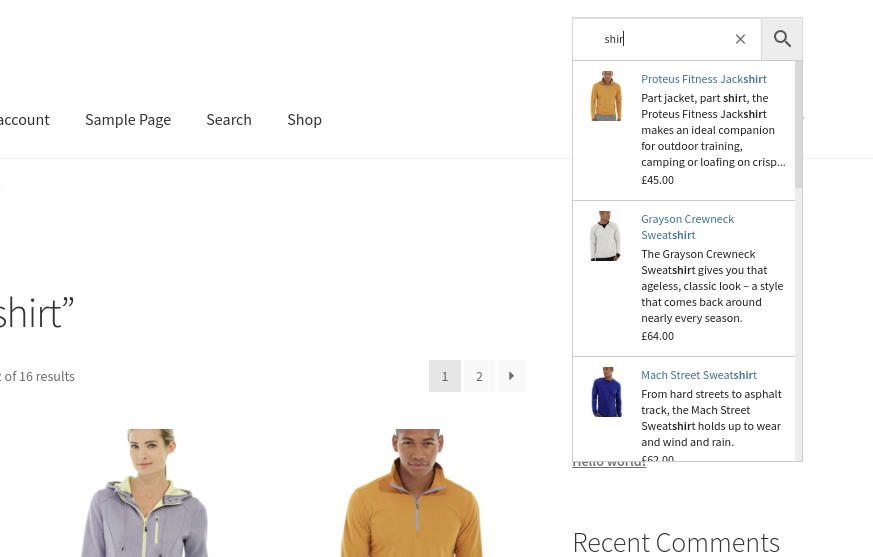 Advanced Woo Search Ajax search example