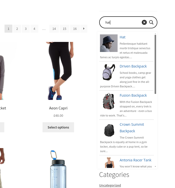 Ajax search lite example