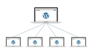 Wordpress multisite search