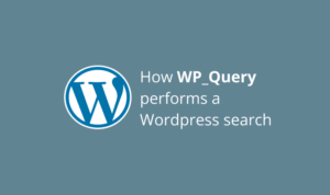 WP_Query Wordpress search