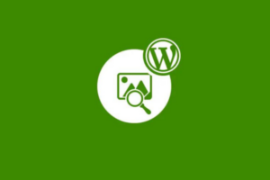 Wordpress image search