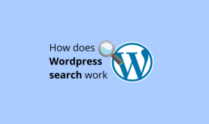 Wordpress search