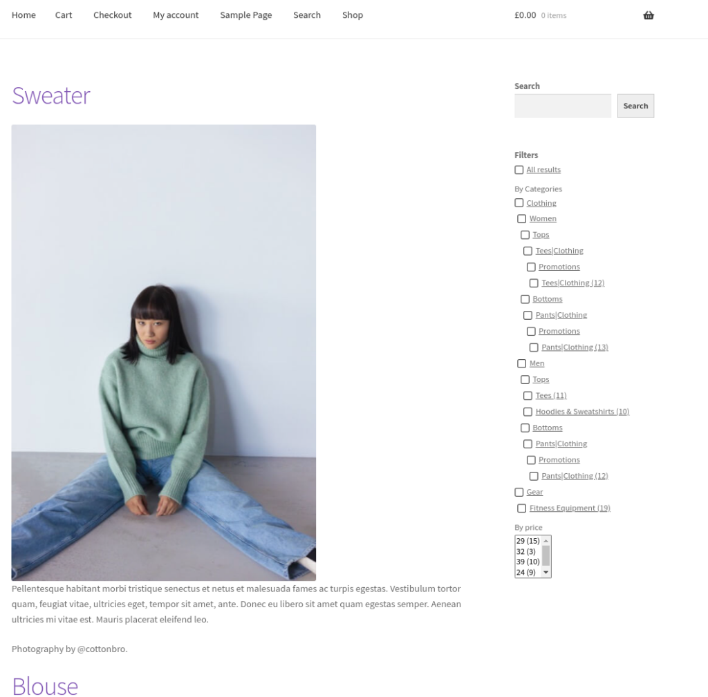 View WPSolr facets