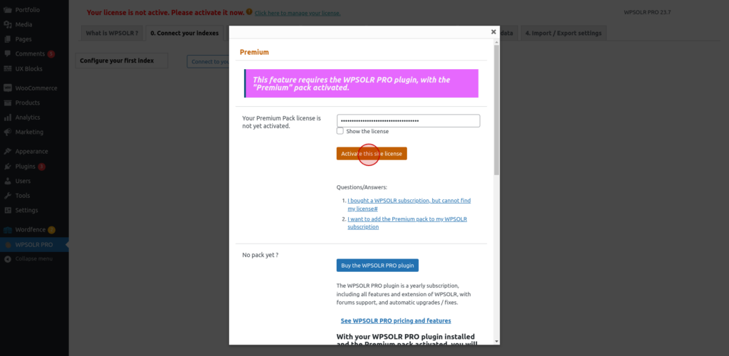 WPSolr Pro : Activate the index