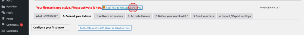 WPSolr Pro : Activate the index