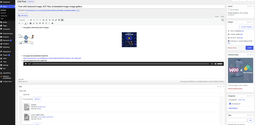 Image wpsolr-chunking-metabox-empty-1024x502.png of Configure WPSOLR Parsing and Chunking