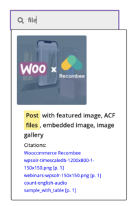 Image wpsolr-chunking-suggestions-template-shown-198x300.png of Configure WPSOLR Parsing and Chunking