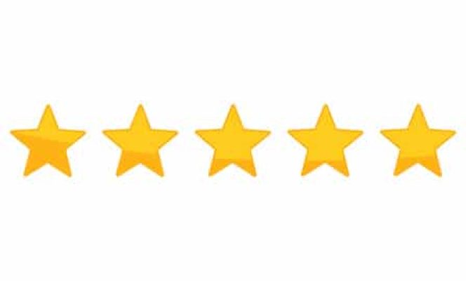 5 stars rating reviews for WPSOLR search plugin