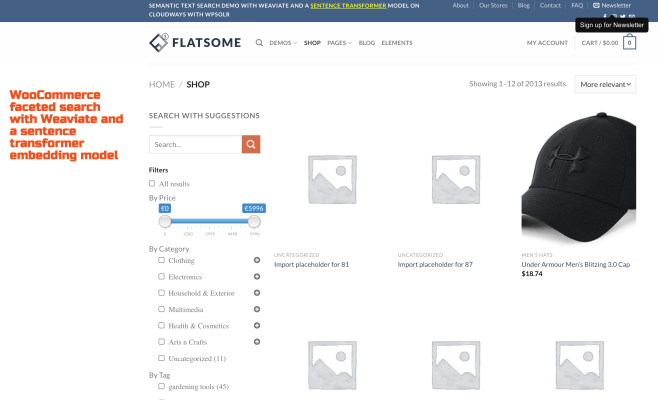 demo-wpsolr-weaviate-sentence-transformer