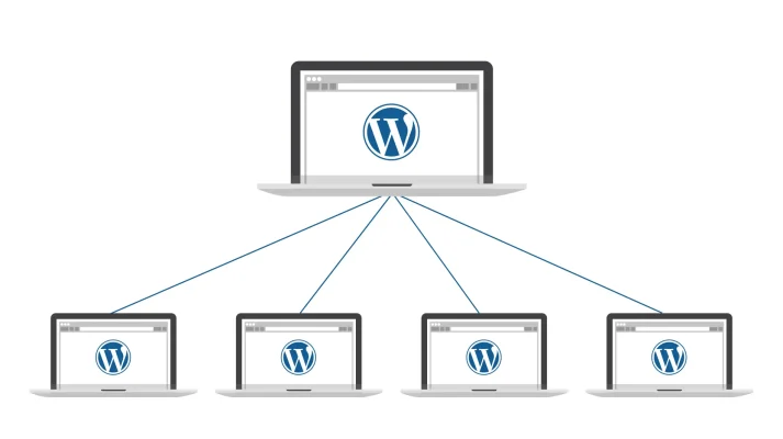 Wordpress multisite search