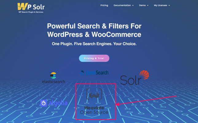 wpsolr-home-weaviate-icon