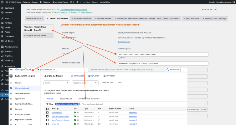 wpsolr-visit-backend-demos