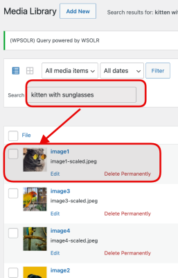 wpsolr weaviate admin search with clip